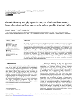 Genetic Diversity and Phylogenetic Analyses of Culturable Extremely Haloarchaea Isolated from Marine Solar Saltern Pond in Mumbai, India