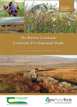 E Burren Lowlands Economic Development Study