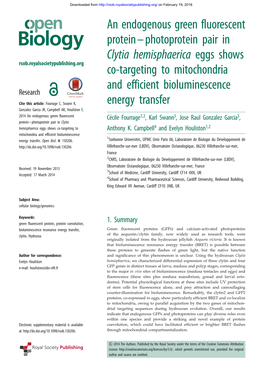 An Endogenous Green Fluorescent Protein–Photoprotein Pair in Clytia