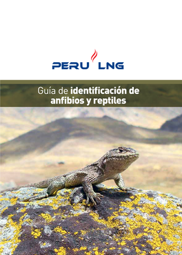 Guía De Identificación De Anfibios Y Reptiles 2 PERU LNG