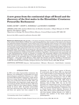 A New Genus from the Continental Slope Off Brazil and the Discovery of the ﬁrst Males in the Hirsutiidae (Crustacea: Peracarida: Bochusacea)