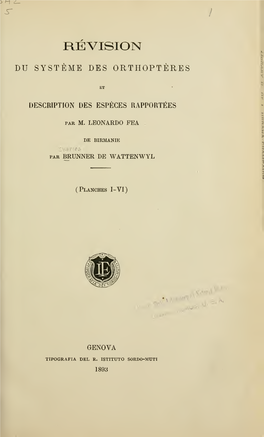 Revision Du Système Des Orthoptères