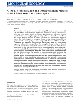 Genomics of Speciation and Introgression in Princess Cichlid ﬁshes from Lake Tanganyika