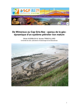 De Wimereux Au Cap Gris-Nez : Aperçu De La Géo- Dynamique D'un Système Pétrolier Non Mature