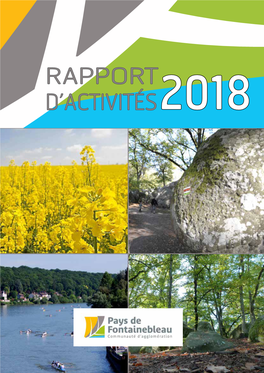 Rapport D'activités 2018