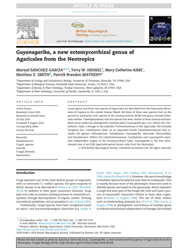 Guyanagarika, a New Ectomycorrhizal Genus of Agaricales from the Neotropics