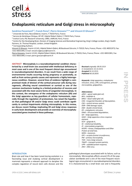 Endoplasmic Reticulum and Golgi Stress in Microcephaly