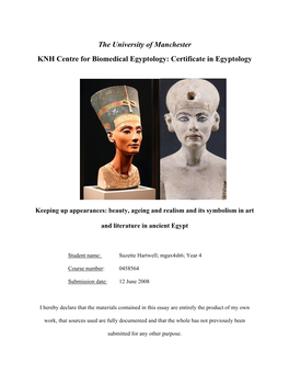 The University of Manchester KNH Centre for Biomedical Egyptology: Certificate in Egyptology