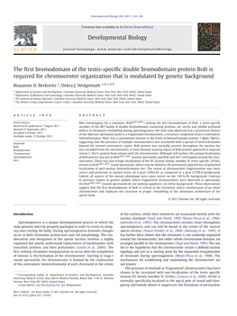 The First Bromodomain of the Testis-Specific Double Bromodomain