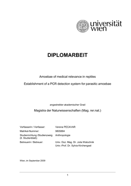 Diplomarbeit