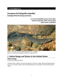 European Eel (Anguilla Anguilla) Ecological Risk Screening Summary