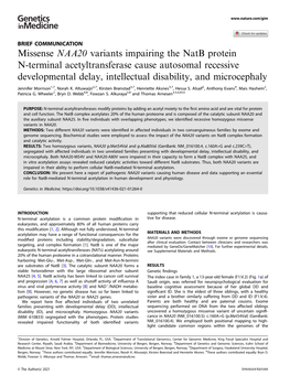 Missense NAA20 Variants Impairing the Natb Protein N-Terminal