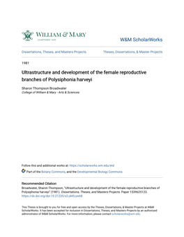 Ultrastructure and Development of the Female Reproductive Branches of Polysiphonia Harveyi