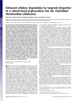 Thermocellum Cellulosome