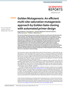 An Efficient Multi-Site-Saturation Mutagenesis Approach by Golden