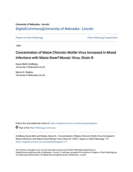 Concentration of Maize Chlorotic Mottle Virus Increased in Mixed Infections with Maize Dwarf Mosaic Virus, Strain B