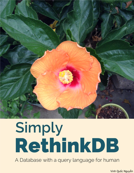 Simply Rethinkdb a Database with a Query Language for Human