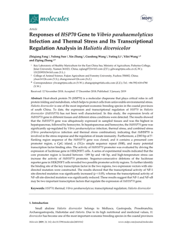 Responses of HSP70 Gene to Vibrio Parahaemolyticus Infection and Thermal Stress and Its Transcriptional Regulation Analysis in Haliotis Diversicolor