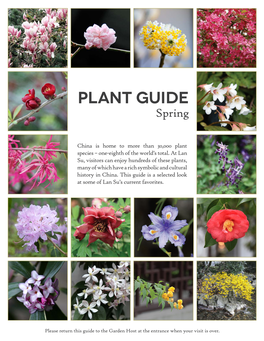 Plant Guide Spring