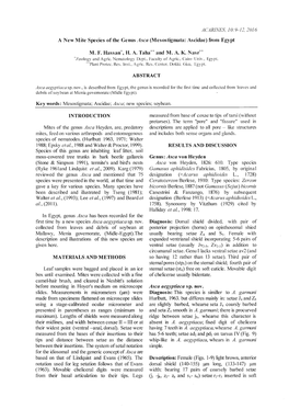 A New Mite Species of the Genus Asca (Mesostigmata: Ascidae) from Egypt