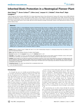 Inherited Biotic Protection in a Neotropical Pioneer Plant