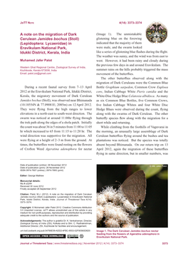 A Note on the Migration of Dark Cerulean Jamides Bochus (Stoll) (Lepidoptera: Lycaenidae) in Eravikulam National Park, Idukki District, Kerala, India