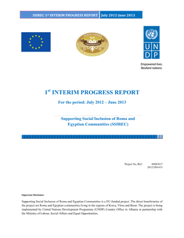 1 Interim Progress Report