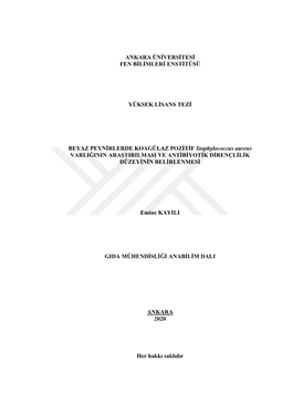 ANKARA ÜNĠVERSĠTESĠ FEN BĠLĠMLERĠ ENSTĠTÜSÜ YÜKSEK LĠSANS TEZĠ BEYAZ PEYNĠRLERDE KOAGÜLAZ POZĠTĠF Staphylococcu