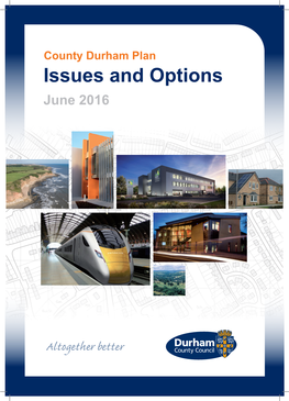 Issues and Options June 2016 Contents