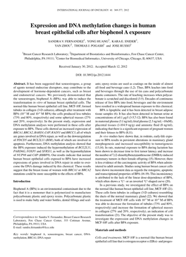 Expression and DNA Methylation Changes in Human Breast Epithelial Cells After Bisphenol a Exposure