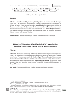 Ciclo De Vida De Hamadryas Chloe Chloe (Stoll, 1787) (Nymphalidae: Biblidinae) En La Reserva Natural Paway- Mocoa, Putumayo. Bol