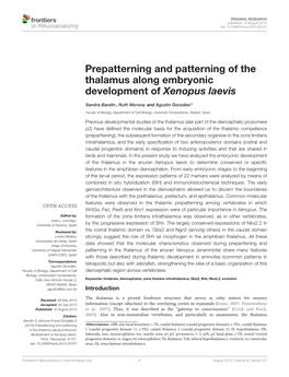 Prepatterning and Patterning of the Thalamus Along Embryonic Development of Xenopus Laevis