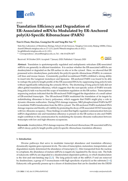 Translation Efficiency and Degradation of ER