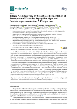Ellagic Acid Recovery by Solid State Fermentation of Pomegranate Wastes by Aspergillus Niger and Saccharomyces Cerevisiae: a Comparison