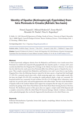 Identity of Squalius (Actinopterygii, Cyprinidae) from Istra Peninsula in Croatia (Adriatic Sea Basin)