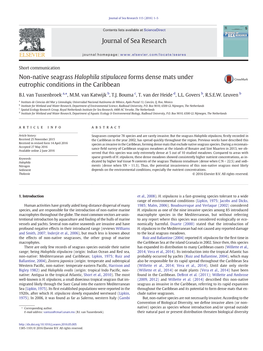 Non-Native Seagrass Halophila Stipulacea Forms Dense Mats Under Eutrophic Conditions in the Caribbean