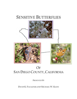 San Diego's Sensitive Butterflies