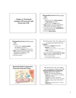 Chapter 4: Functional Anatomy of Procaryotic and Eucaryotic Cells