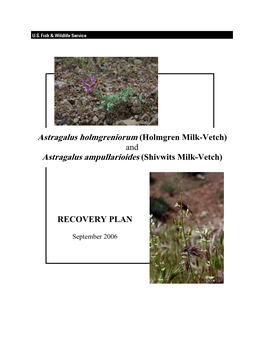 Astragalus Holmgreniorum (Holmgren Milk-Vetch) and Astragalus Ampullarioides (Shivwits Milk-Vetch)