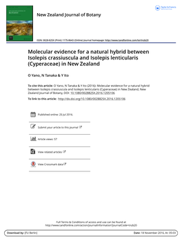 Cyperaceae) in New Zealand