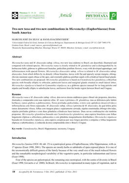 Two New Taxa and Two New Combinations in Microstachys (Euphorbiaceae) from South America