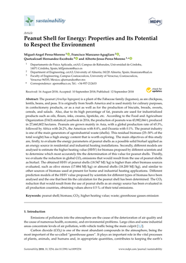 Peanut Shell for Energy: Properties and Its Potential to Respect the Environment