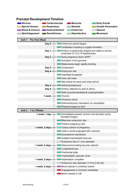 Prenatal Development Timeline