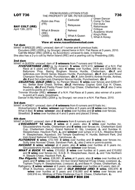 Lot 736 the Property of Mr