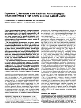 Dopamine D, Receptors in the Rat Brain: Autoradiographic Visualization Using a High-Affinity Selective Agonist Ligand