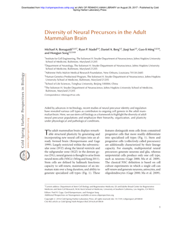 Diversity of Neural Precursors in the Adult Mammalian Brain