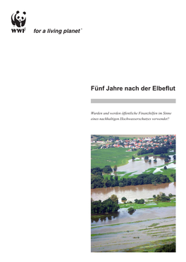 Fünf Jahre Nach Der Elbeflut