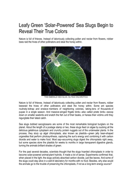 Leafy Green „Solar-Powered‟ Sea Slugs Begin to Reveal Their True Colors