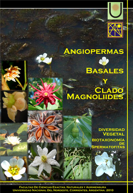 4- Angiospermas Basales Y Clado Magnoliides.Pdf