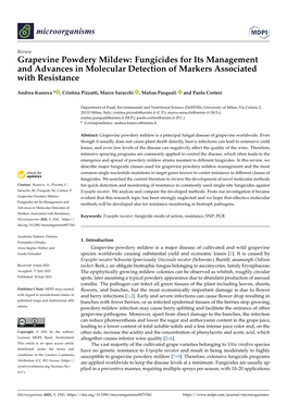 Grapevine Powdery Mildew: Fungicides for Its Management and Advances in Molecular Detection of Markers Associated with Resistance